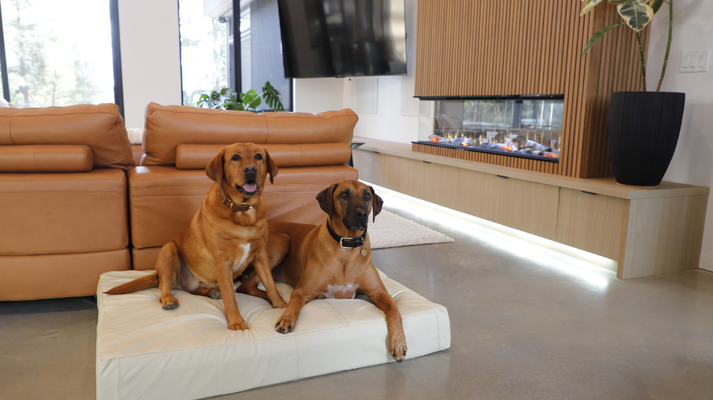 Why Leather Makes the Best Dog Bed Material (And Why We Chose It for Le Bed)