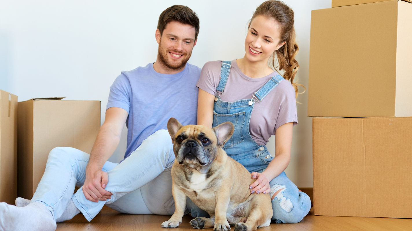How to Move stress free with a dog | best dog friendly moving tips