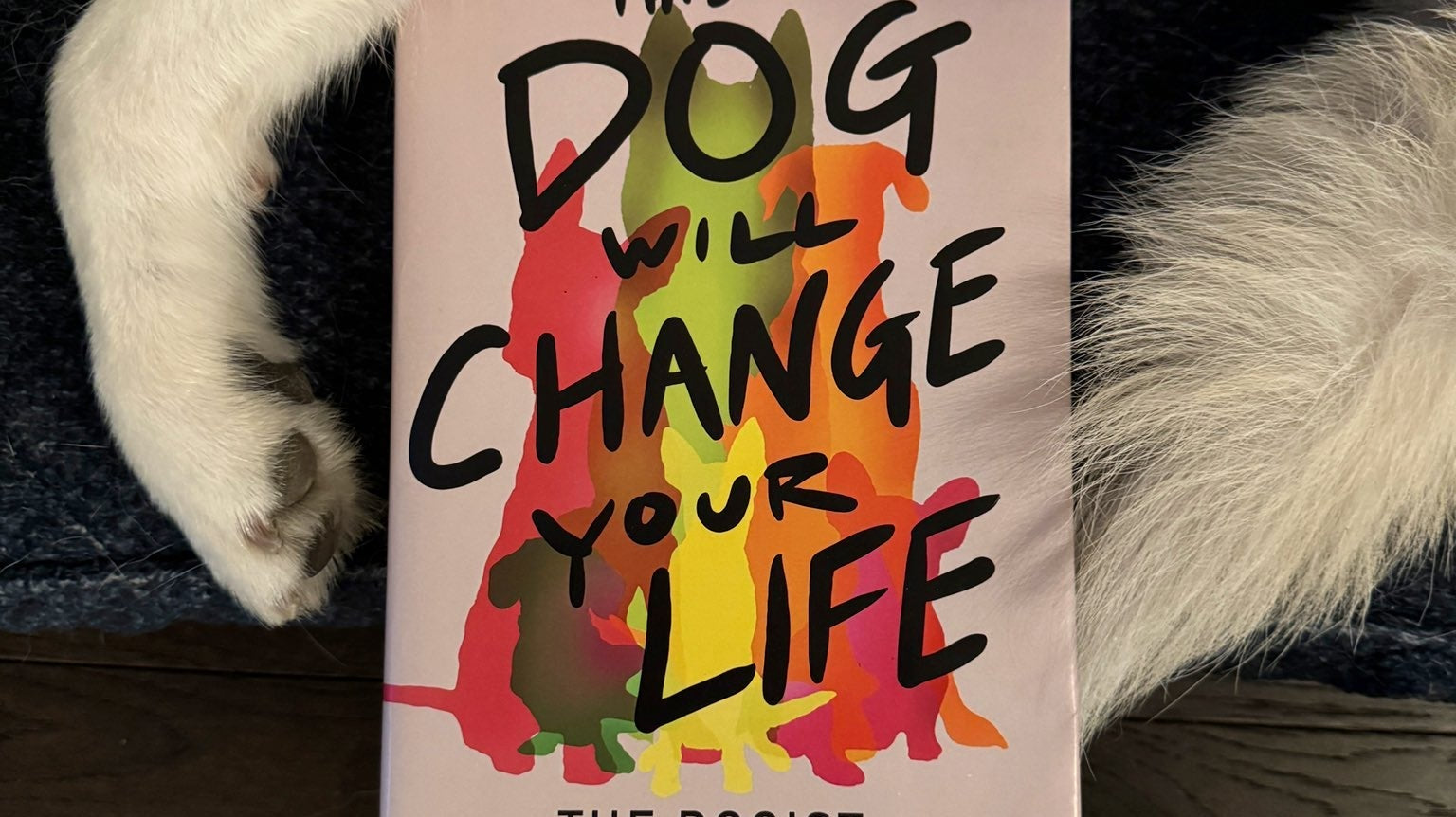 What We’re Reading This Summer: This Dog Will Change Your Life
