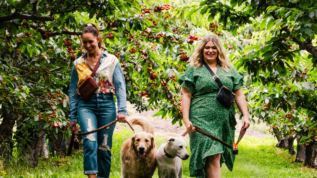 Say Hello to a New Way to Shop Le Dog