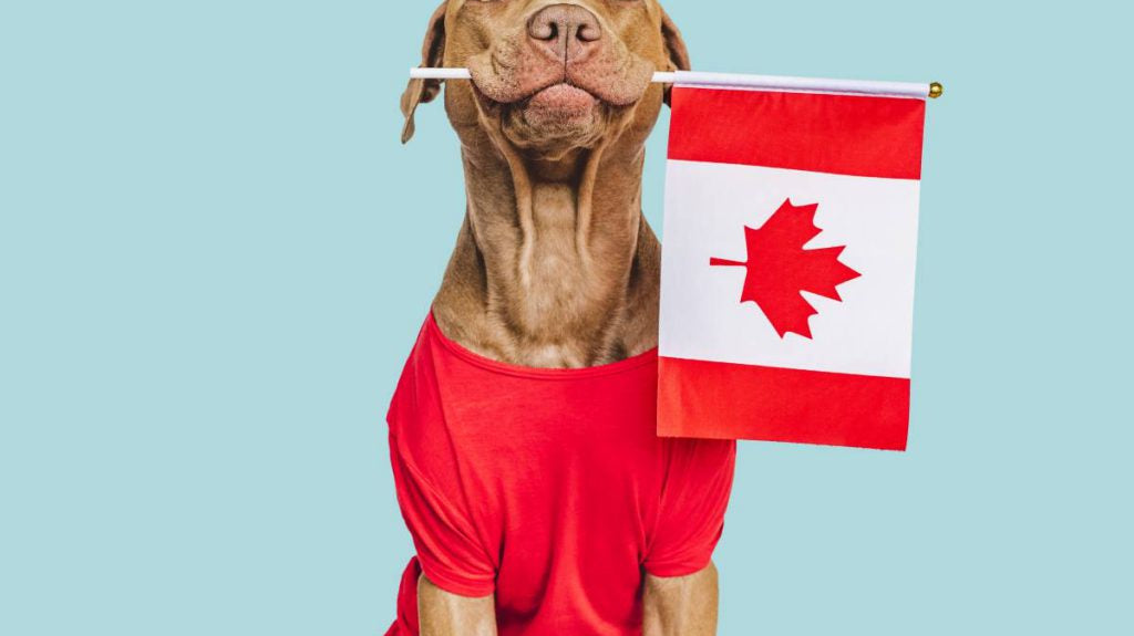 Le Dog - A Canadian Tail