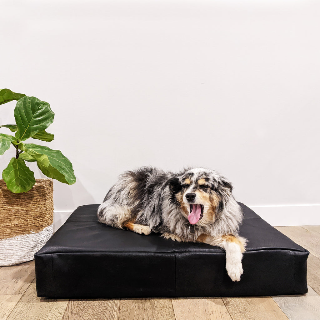 Le Dog leather dog bed, Black 