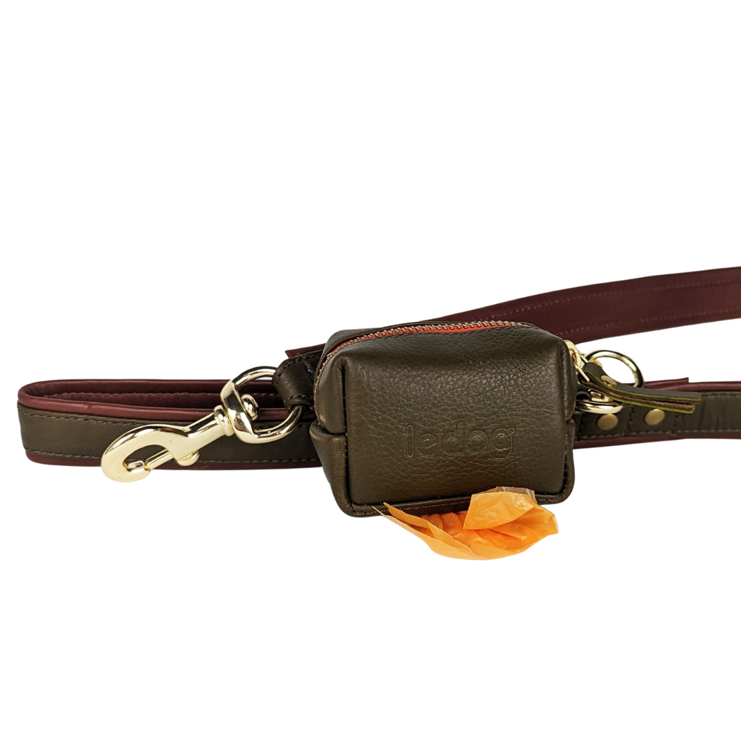 Green leather leash with leather poop bag holder