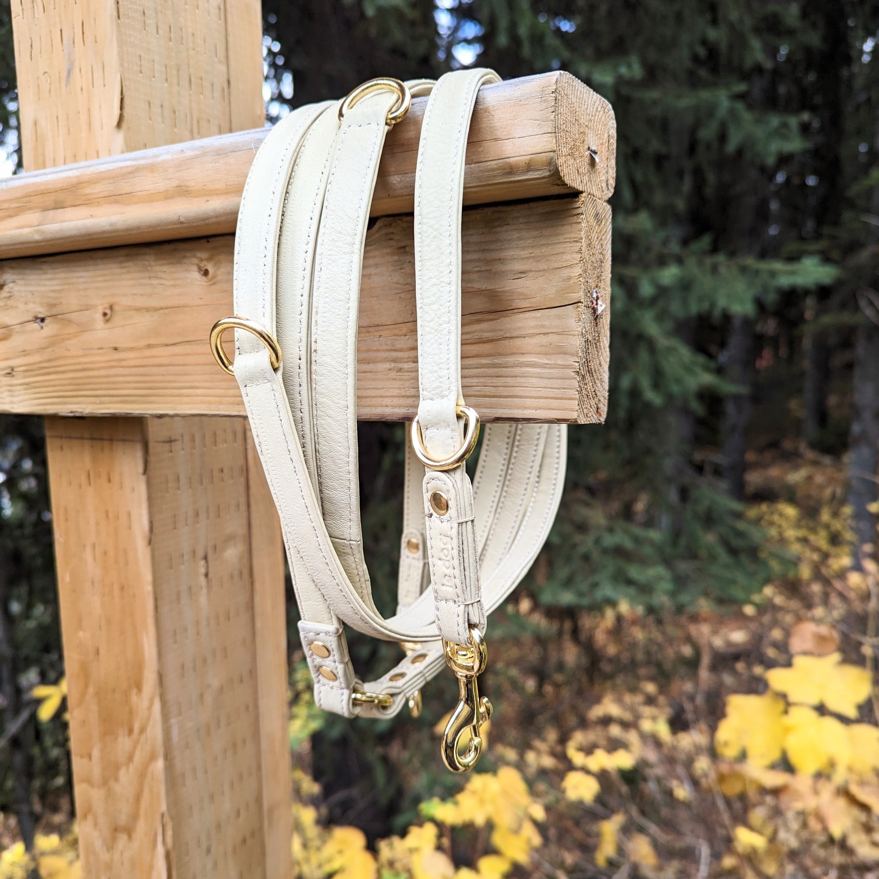 XL bone leather leash