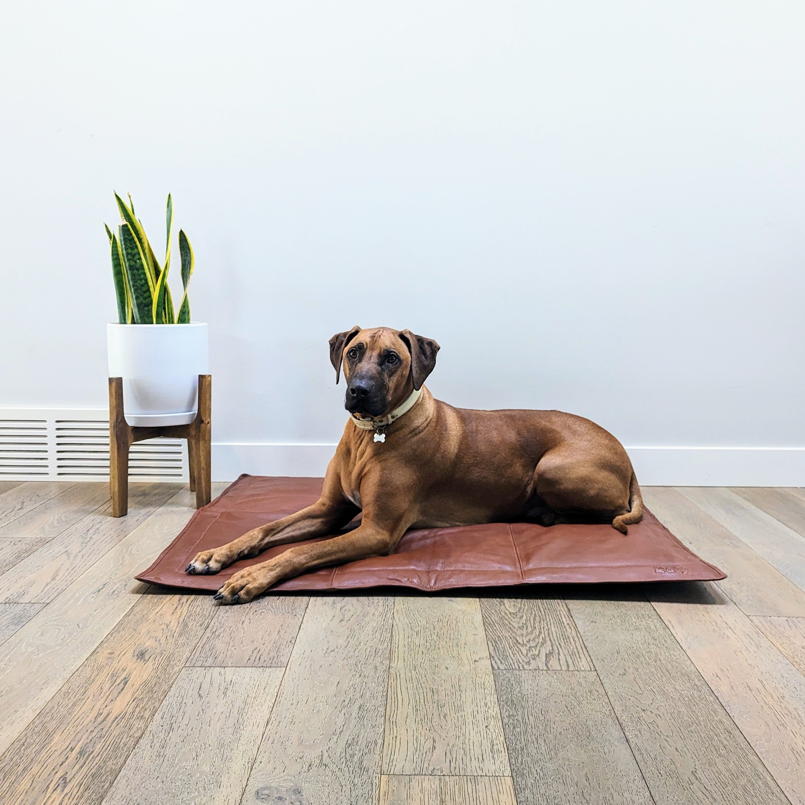 Leather dog mat in cognac