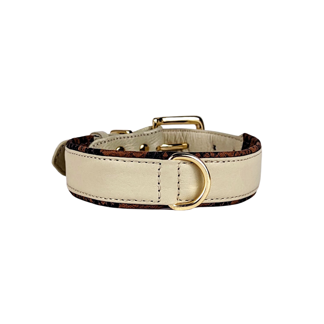 Stylish leather collar in bone with python padding with leash attachment for medium to large breeds