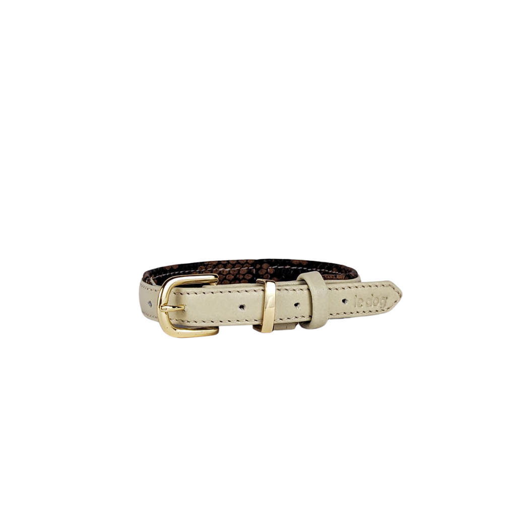 Stylish padded leather collar in bone with all brass hardware for small breeds