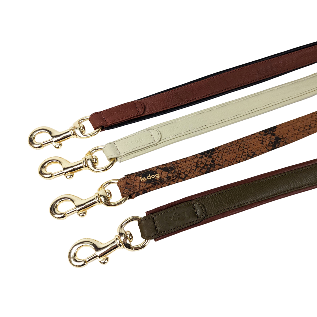 Leather leash all brass gold plated clip detail shot in four leather colours