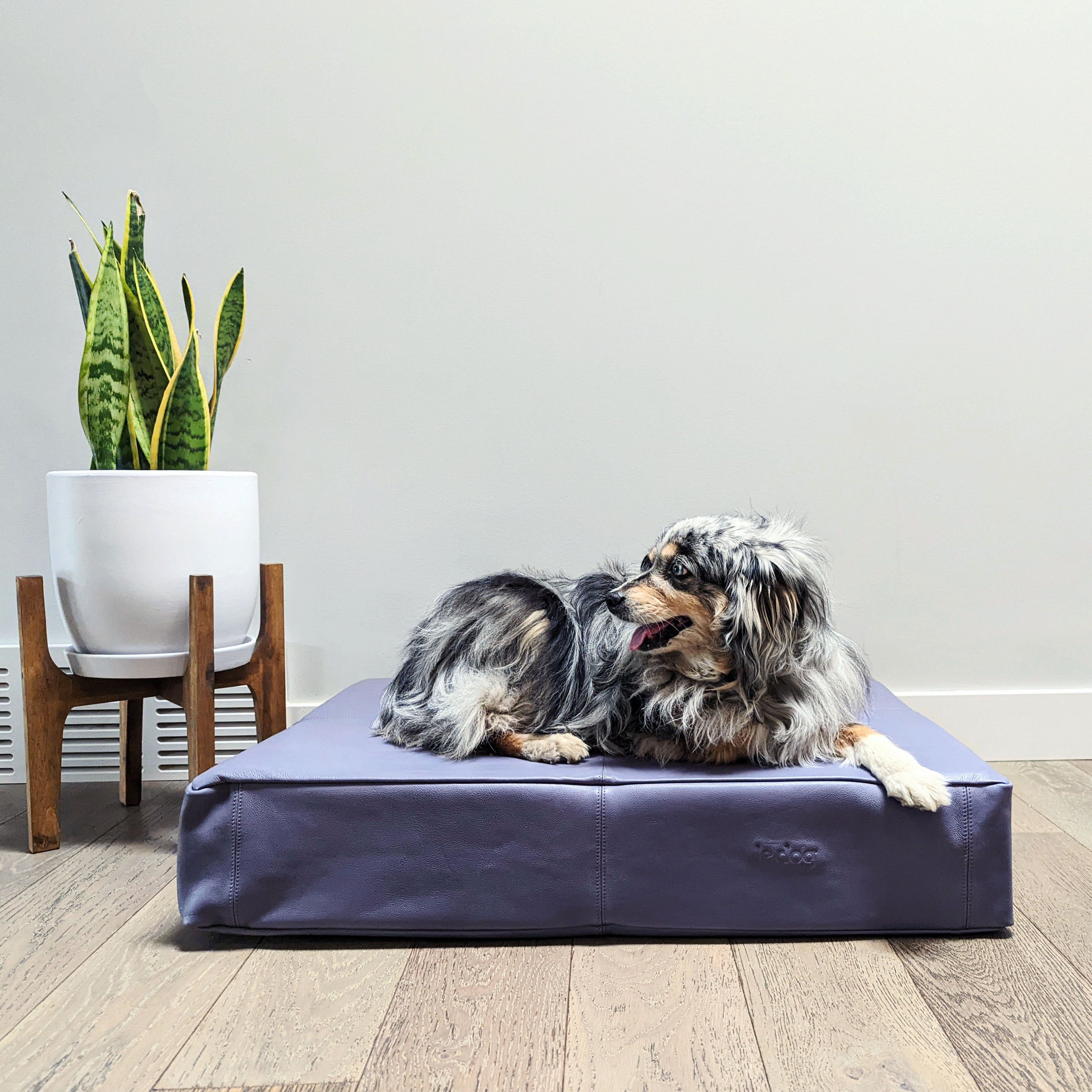 Dog laying on rusty grey Le bed