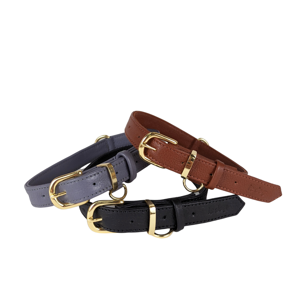 Modern classic leather collars in three colours with gold plated brass hardware