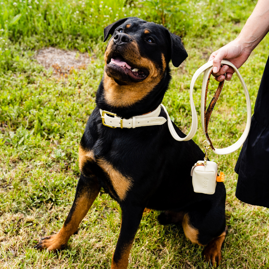 Le Dog Le Walk System in Bone