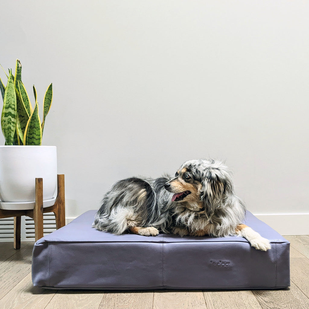 Le Bed leather dog bed in Slate Grey. 100% genuine leather and made to last. The only dog bed to get better with wear.