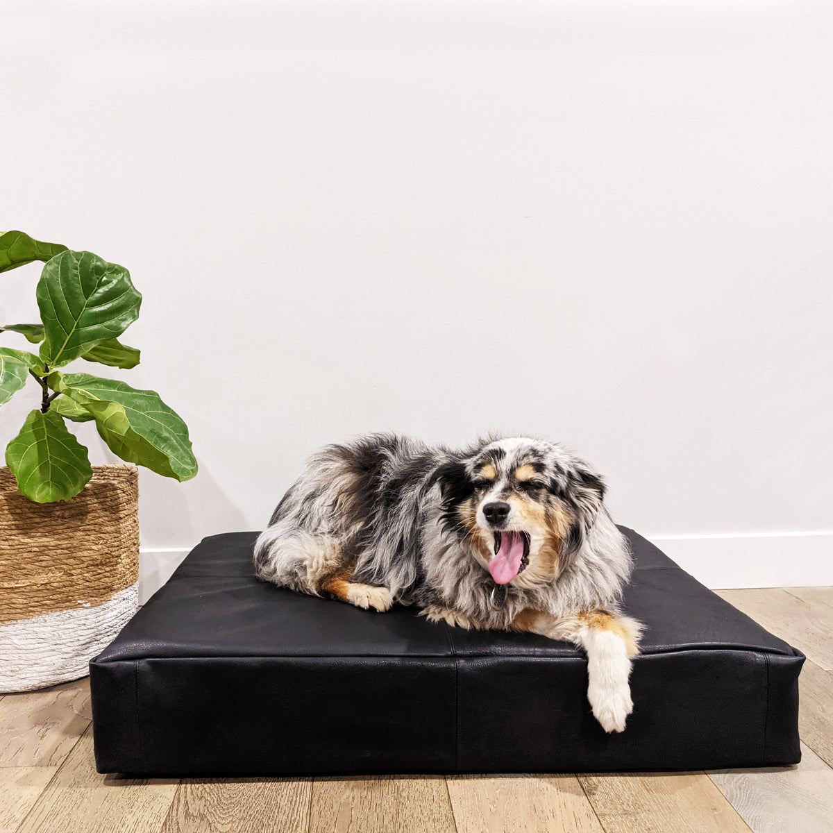 Wallace and jones leather dog sale bed