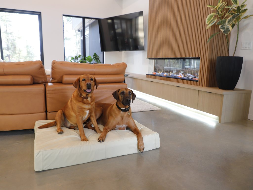 Why Leather Makes the Best Dog Bed Material (And Why We Chose It for Le Bed)
