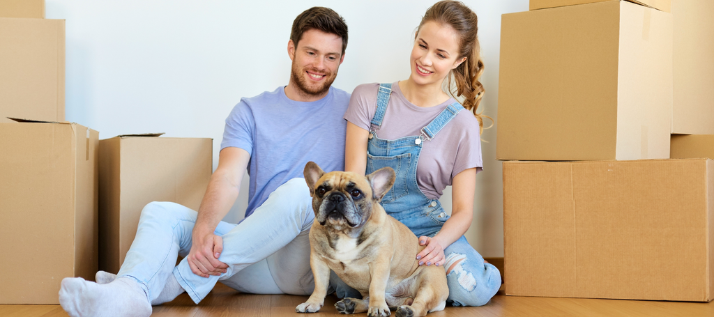 How to Move stress free with a dog | best dog friendly moving tips