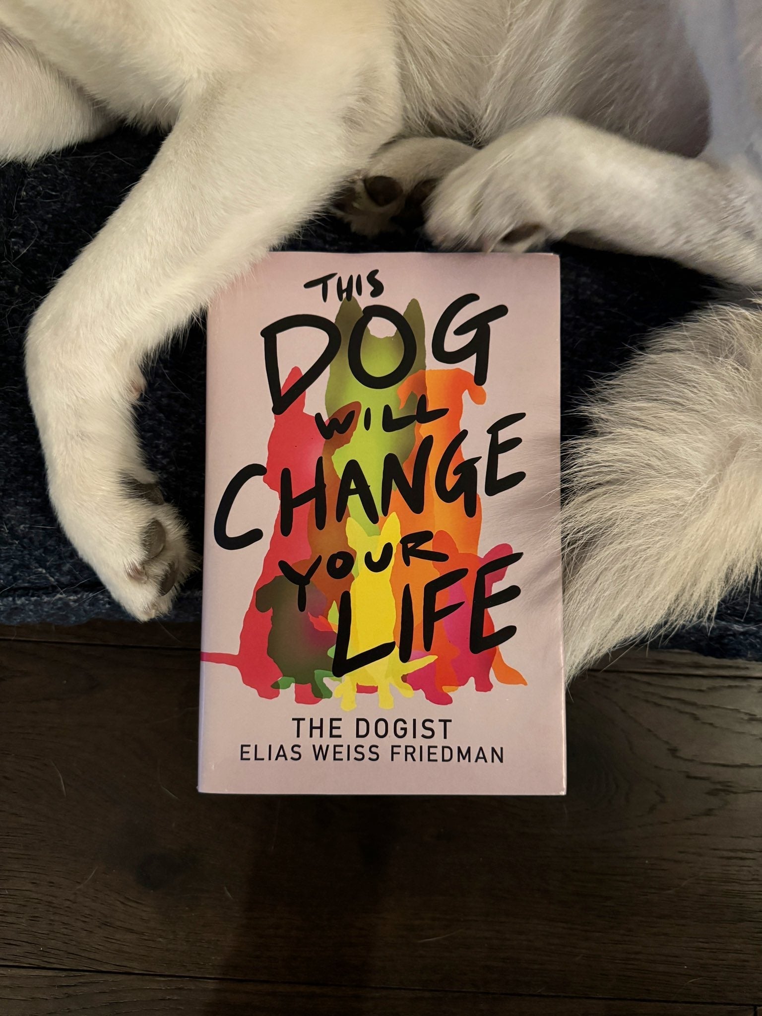 What We’re Reading This Summer: This Dog Will Change Your Life