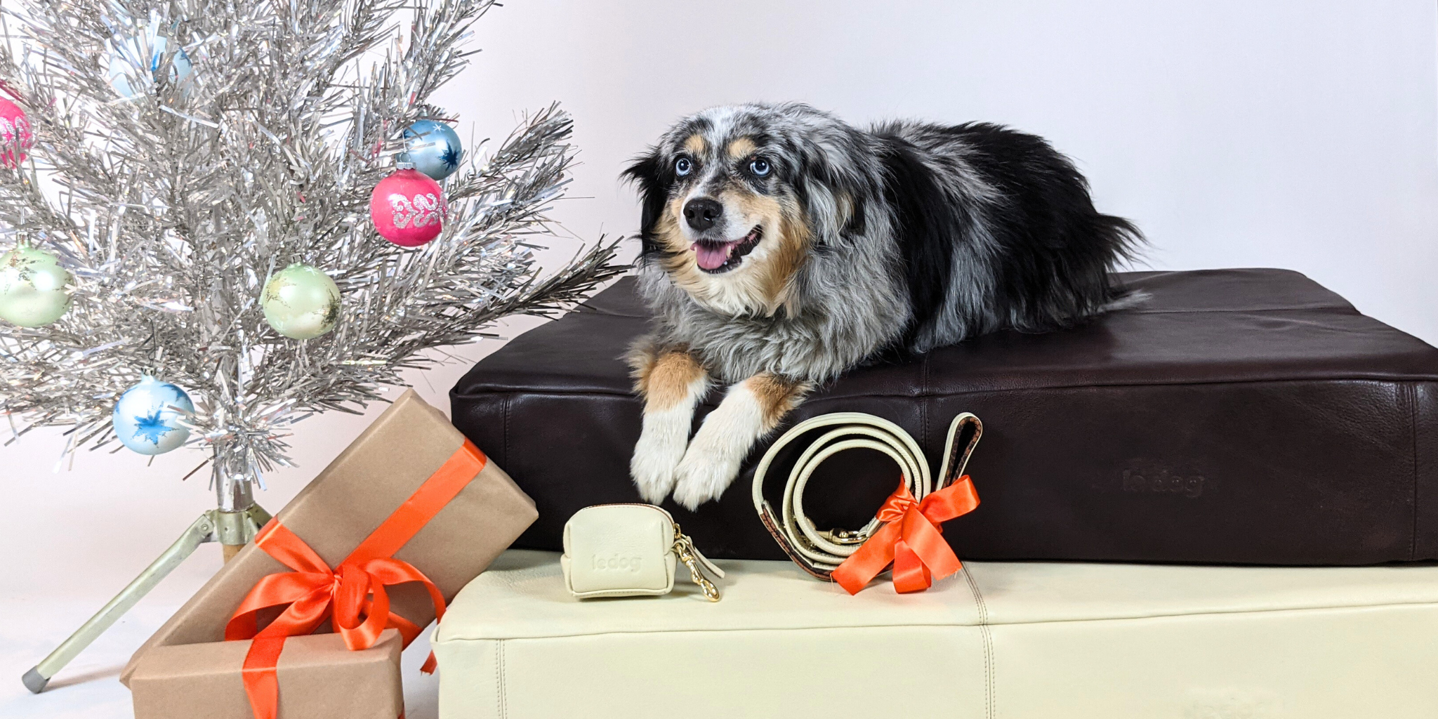 The Ultimate Le Dog Gift Guide