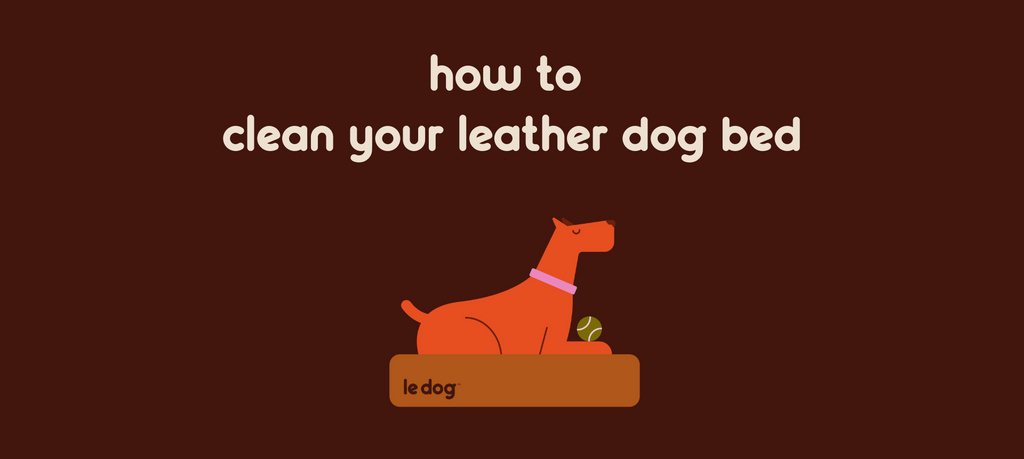 How To Clean Your Leather Dog Bed | Easy To Clean No Launder Dog Beds