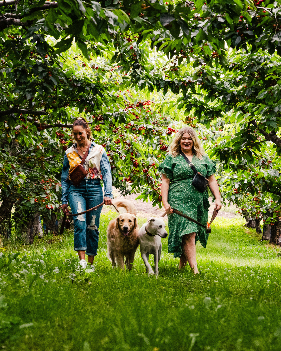 Say Hello to a New Way to Shop Le Dog