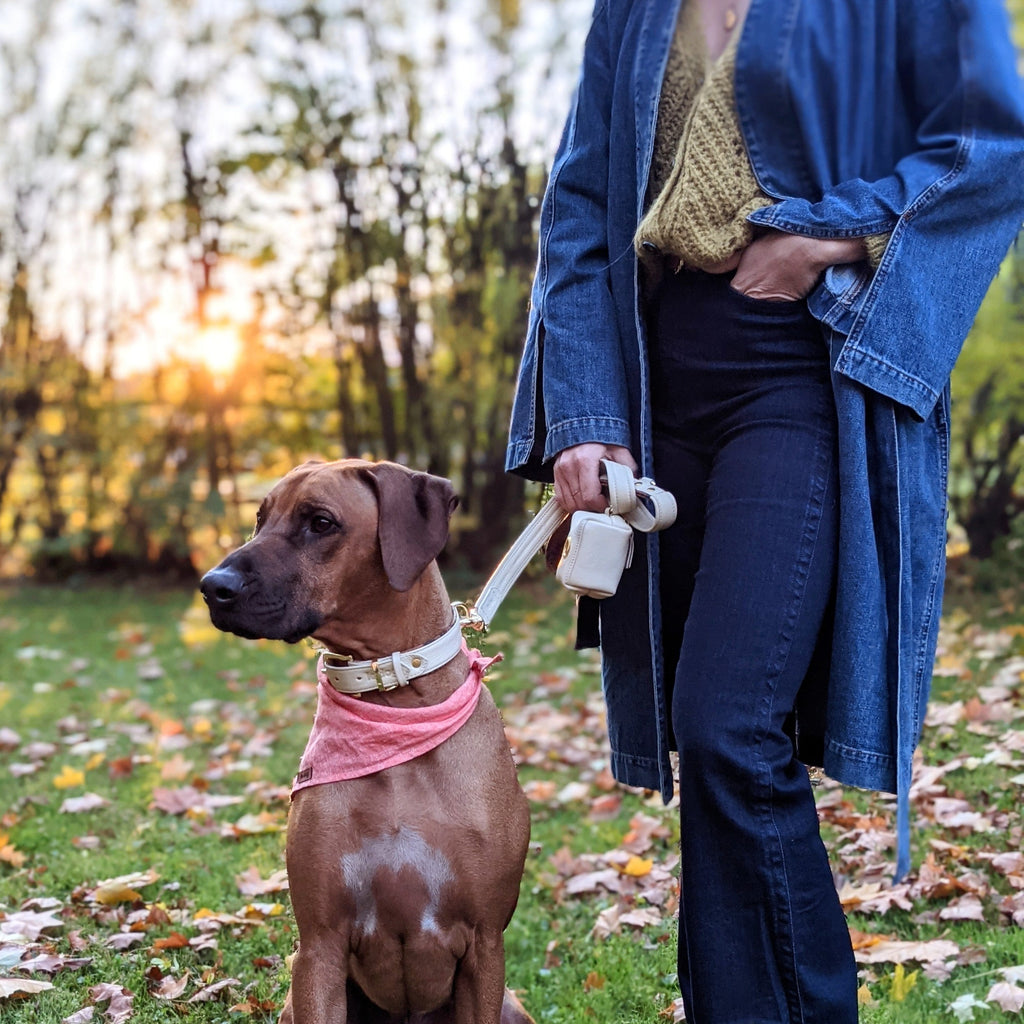 Shop premium dog collars, leashes and poop bag holders that are genuine leather | Le Dog Company