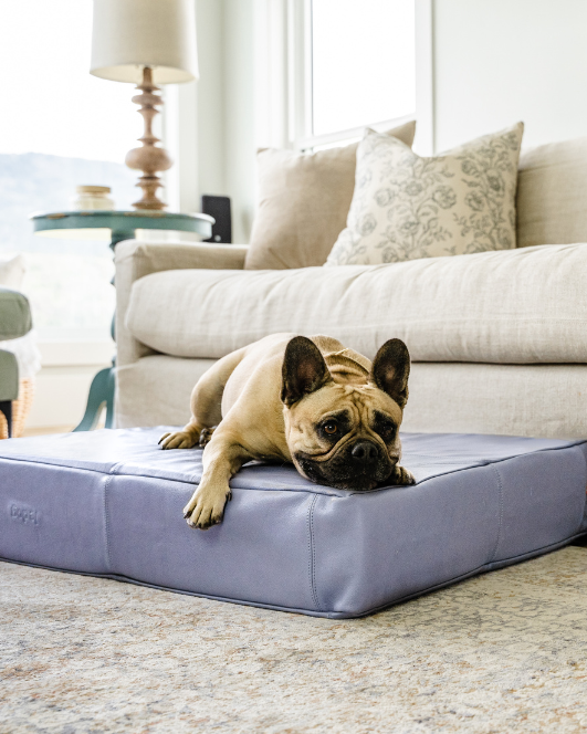 Dog beds afterpay clearance