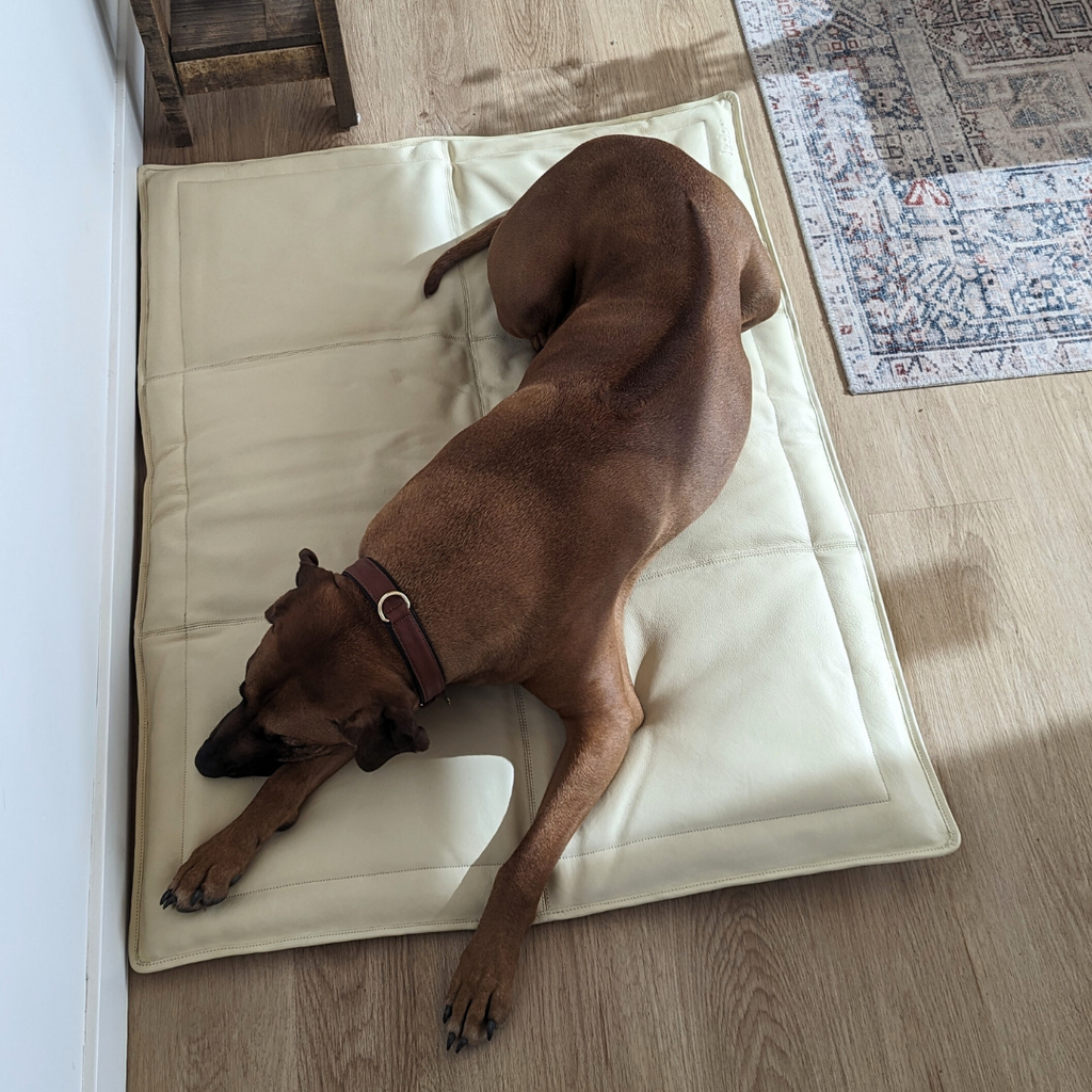 Overhead view of Le Mat leather dog bed by Le Dog Company in Bone with a Ridgeback. 