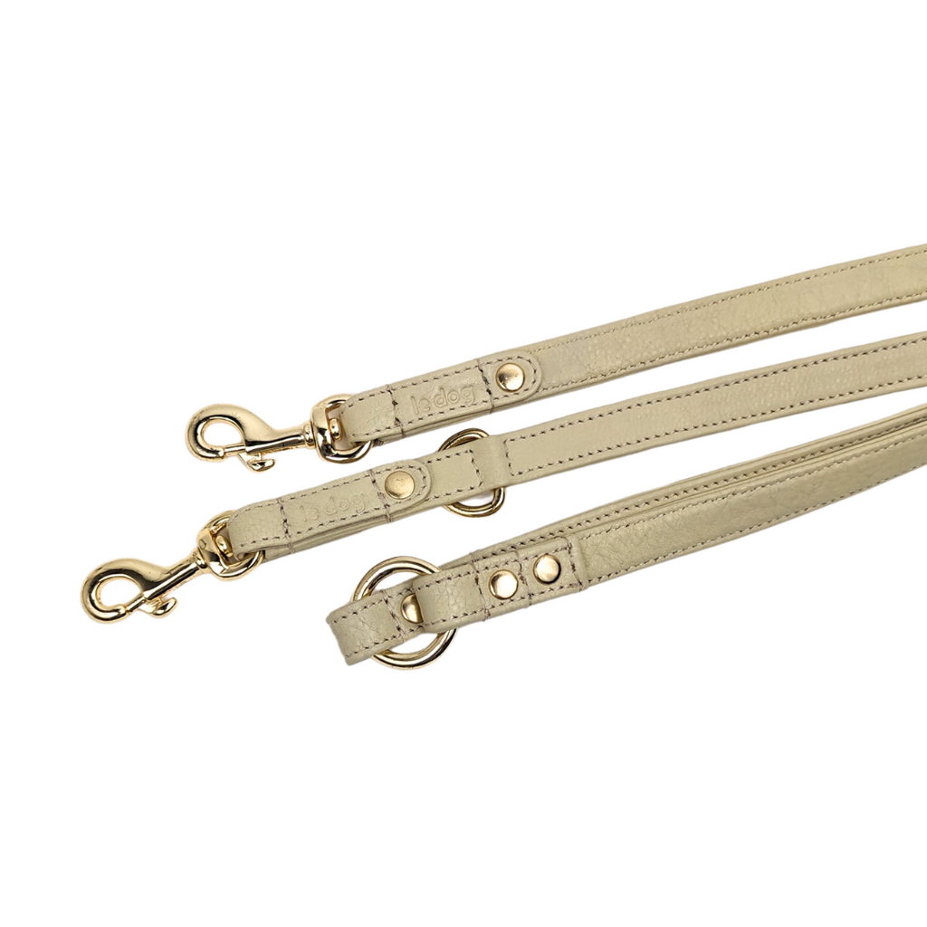 Bone Longline leash hardware detail. All brass gold plated hardward.