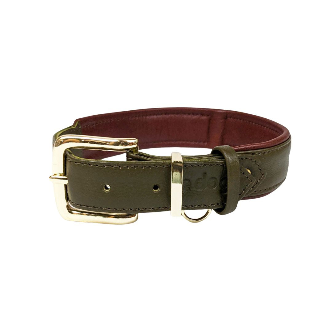 Padded Leather Collar | Two Toned – Le Dog Company