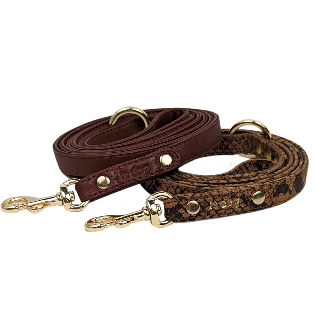 Skinny Leather Leash with all brass hardware by Le Dog Company. The perfect leash for small to medium size dogs.