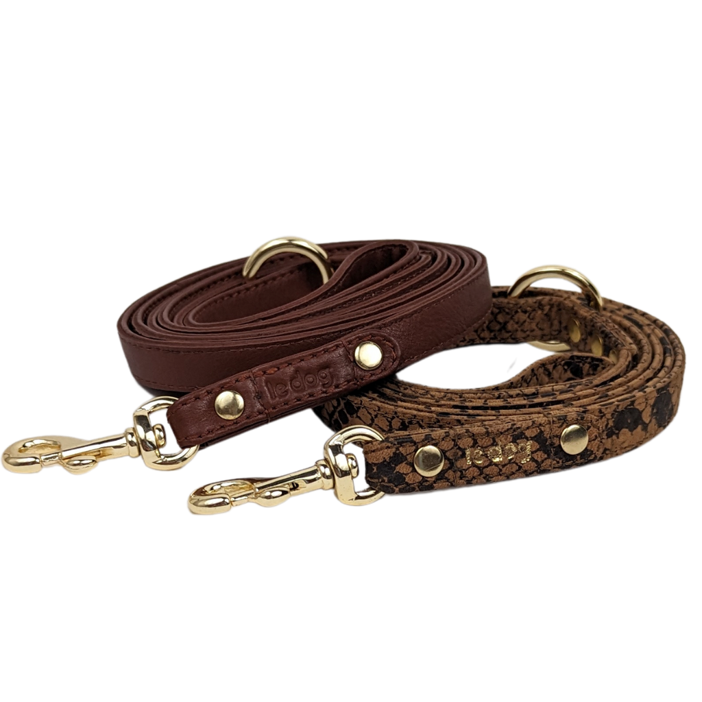 Leather leash online for small dogs