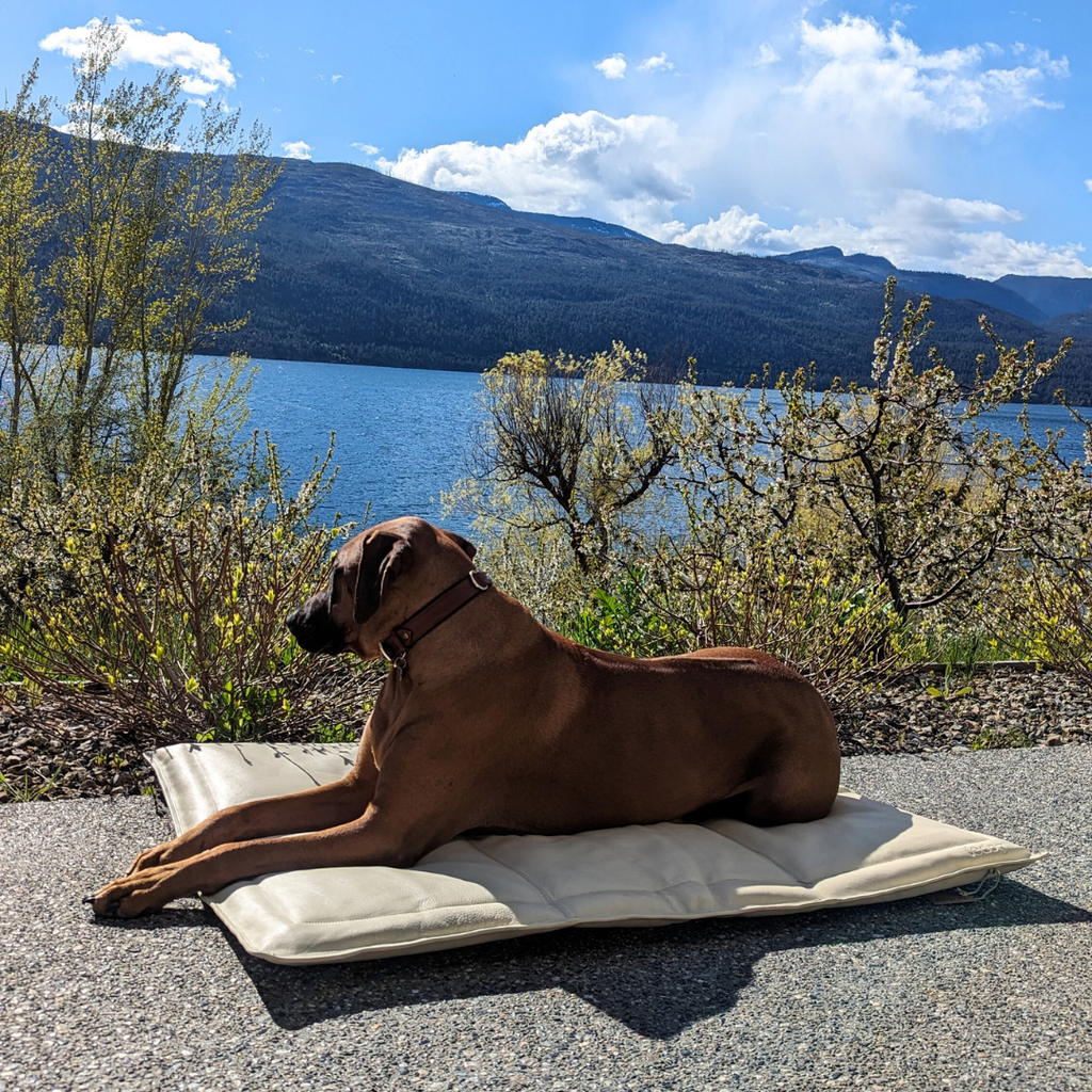 Le Dog Company leather dog mat in an outdoor setting overlooking a lake. The best portable dog bed that's simple to clean and requires no laundering.