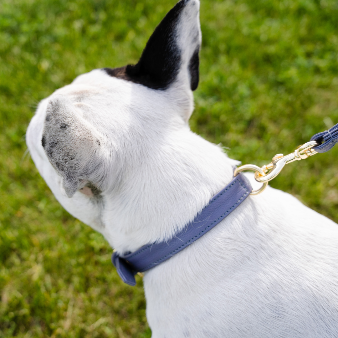 Skinny Leather Leash Hardware Close Up | Le Dog Company