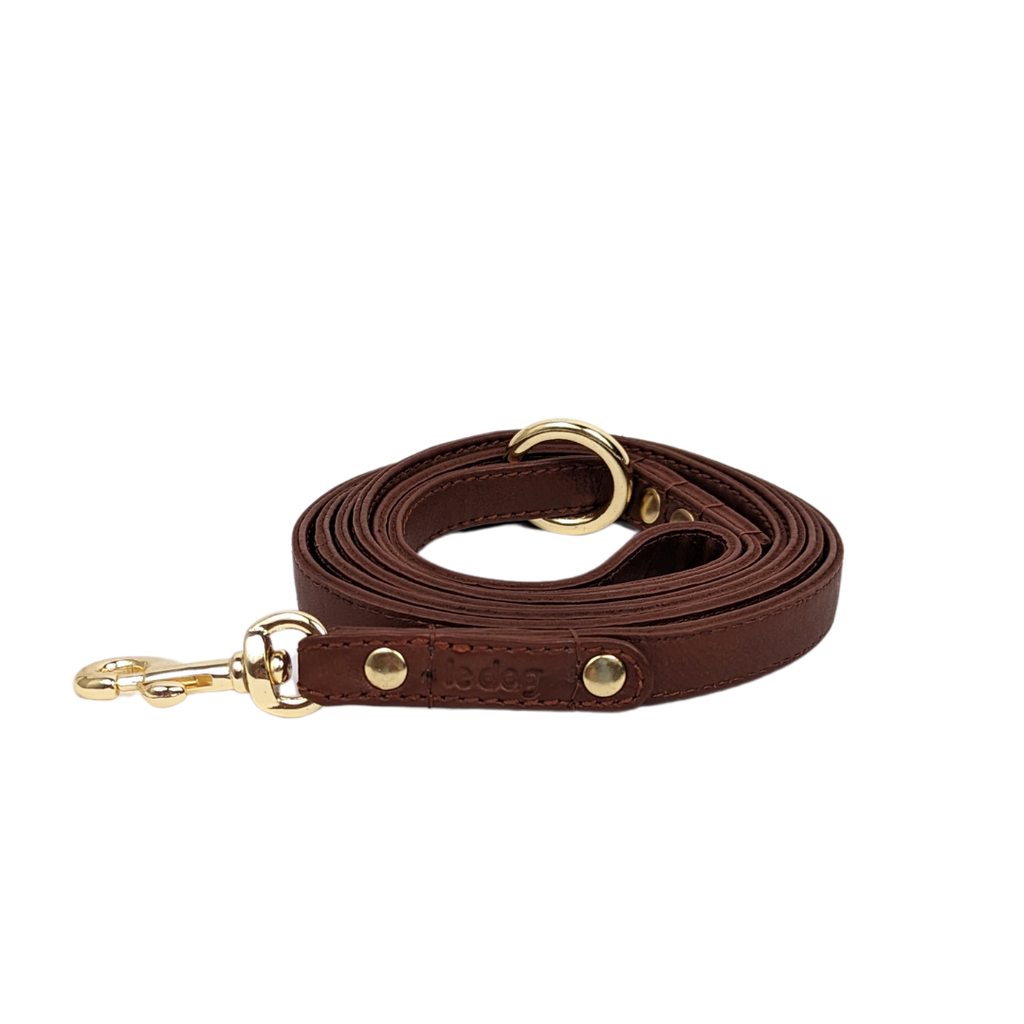 Cognac coloured Skinny Leather Leash by Le Dog Company. The best leash for small to medium sized dogs who are stylish.
