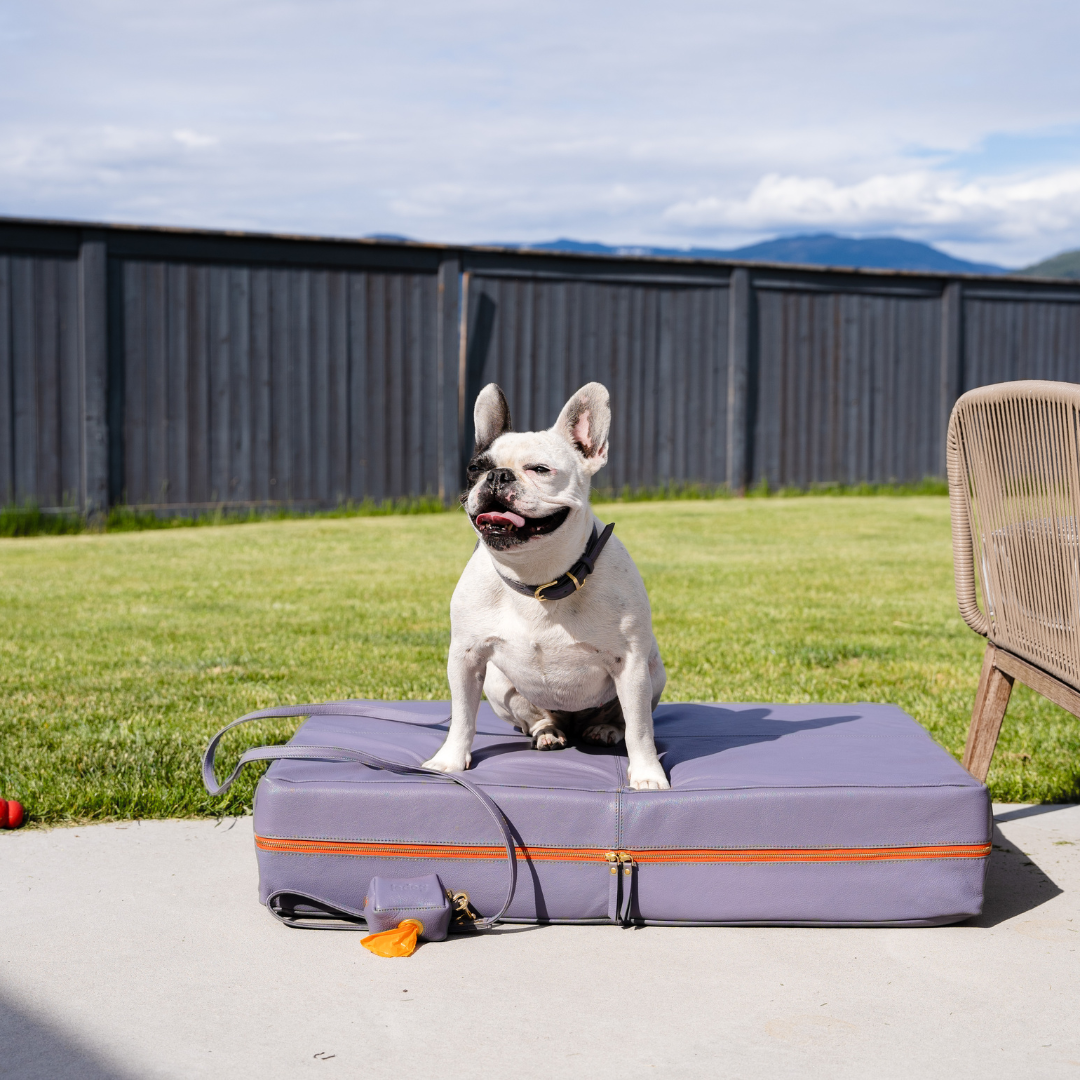 Grey leather online dog bed