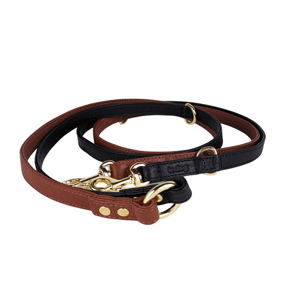 Leash company best sale