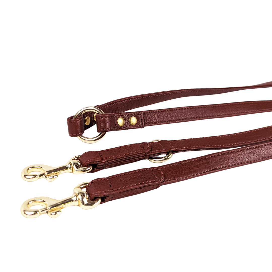 Longline Hands Free Leash Le Dog Company