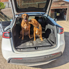 Two cute dogs in a the back a tesla showcasing their Le Mat leather dog bed by Le Dog Company. 