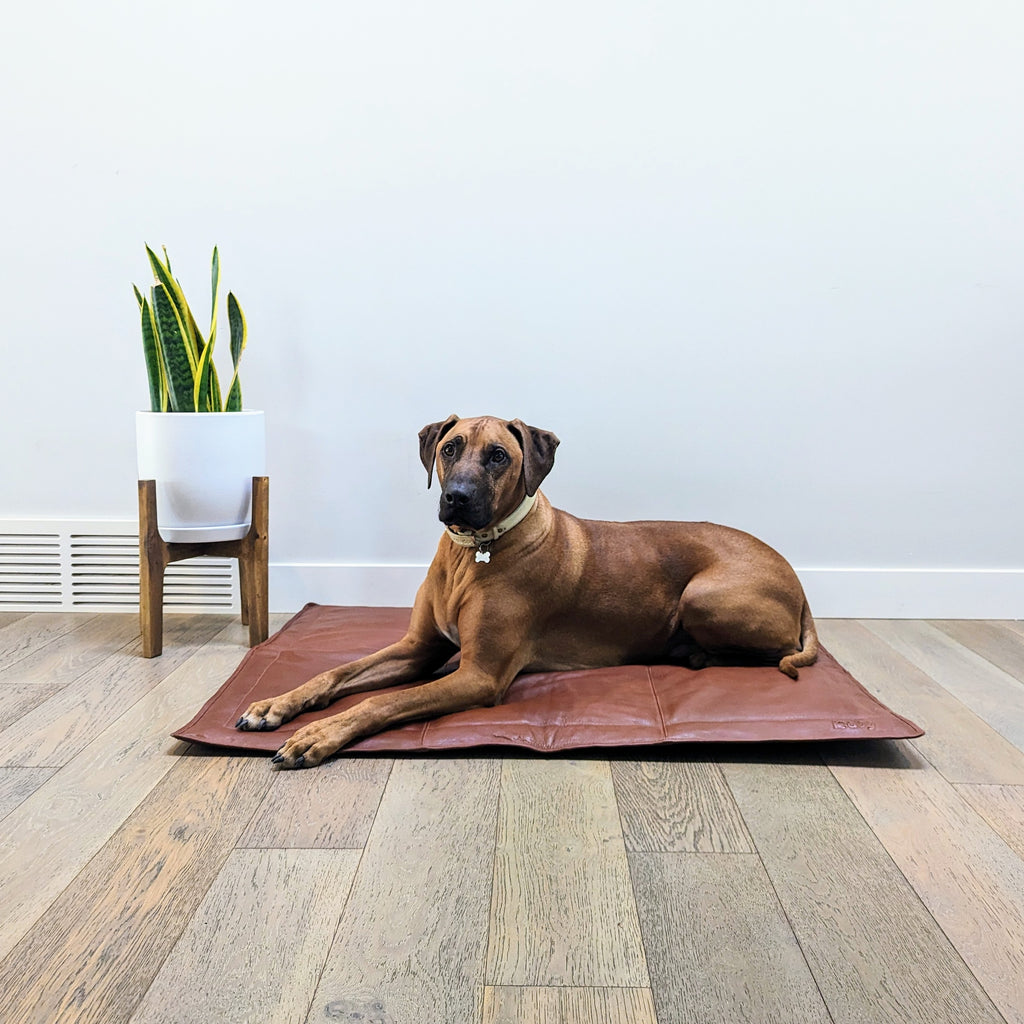 Leather dog mat in cognac 