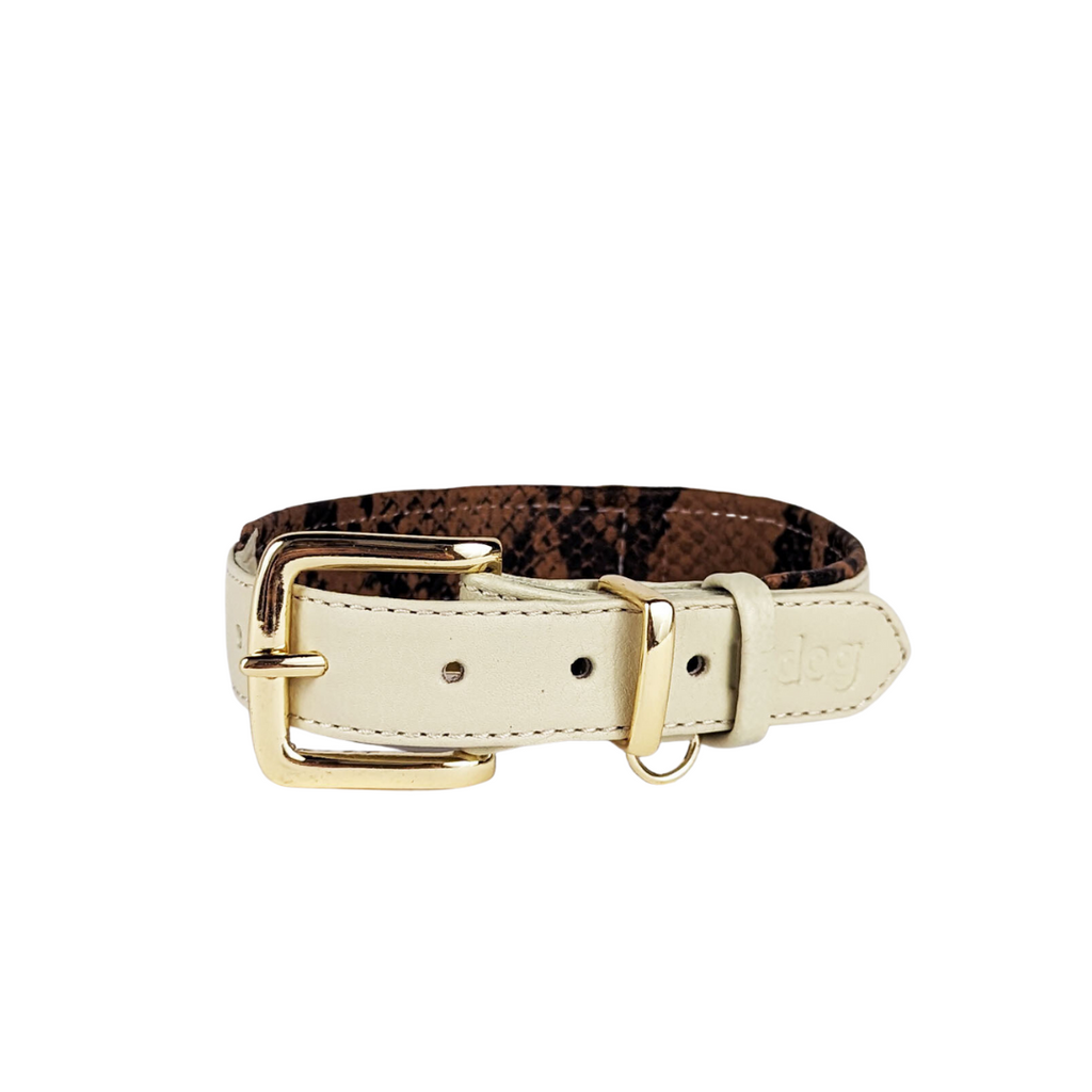 Stylish leather collar in bone with python print padding and all brass hardware for medium to large breeds