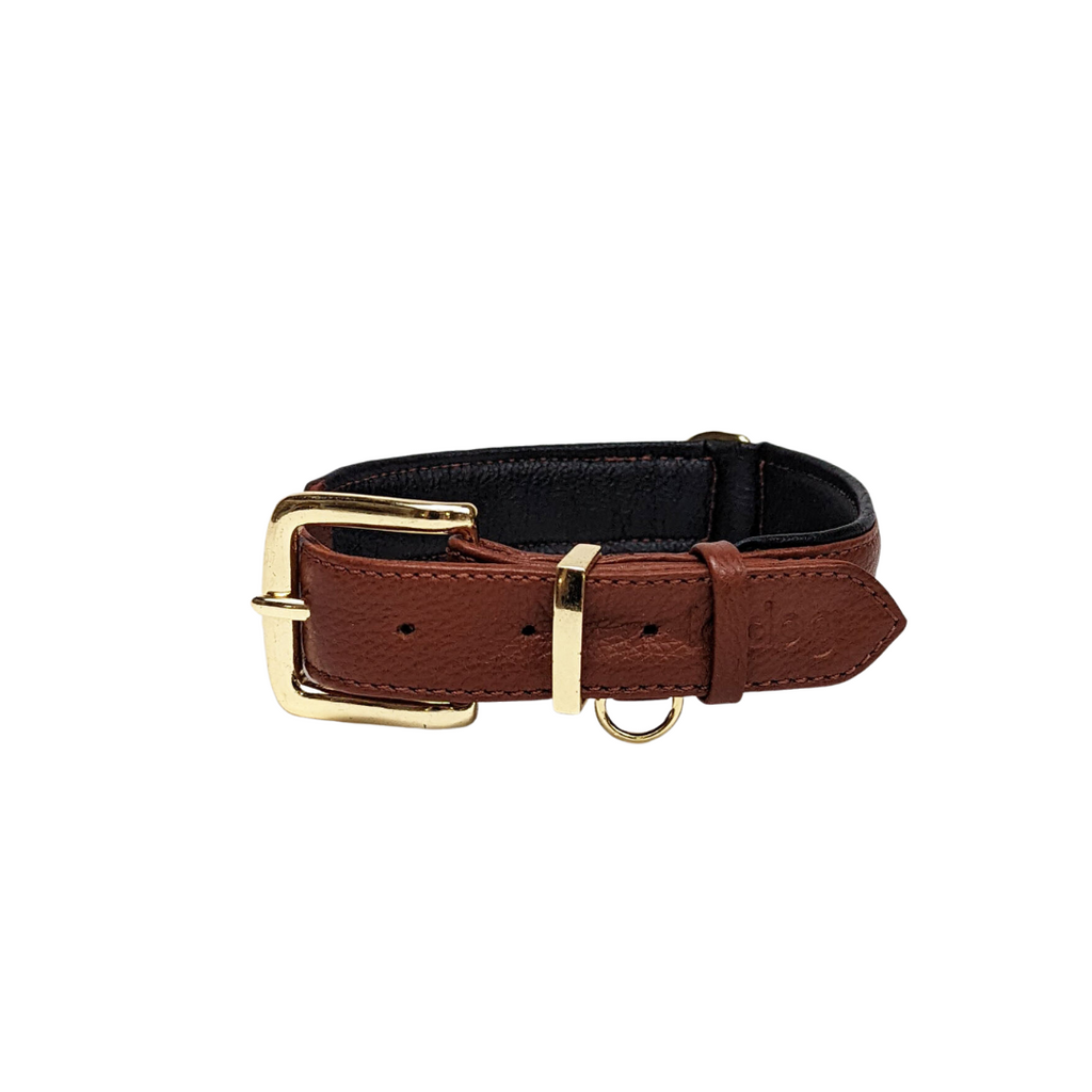 Leather collar in cognac with black padding and all brass hardware for medium to large breeds
