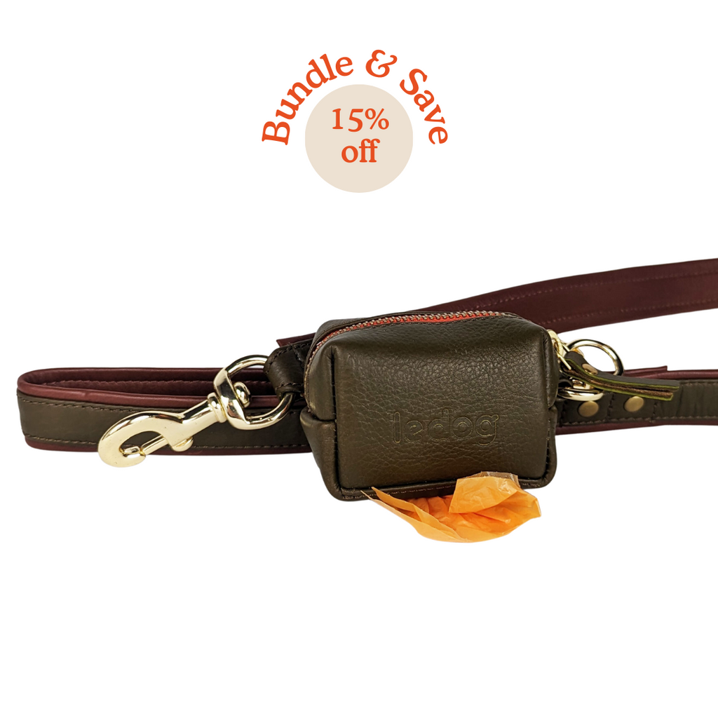 Stylish and durable dog leash and poop bag bundle in green leather 