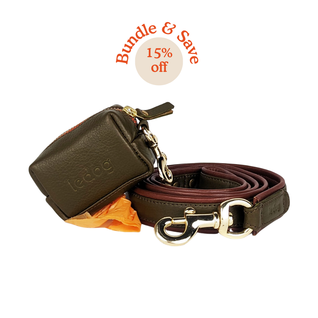 the best dog leash and poop bag bundle in green leather 