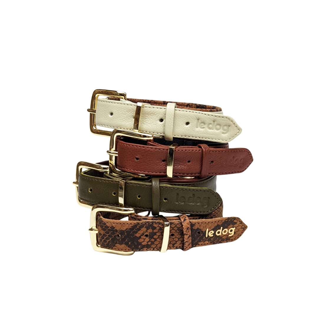 Padded Leather Collar Le Dog Company