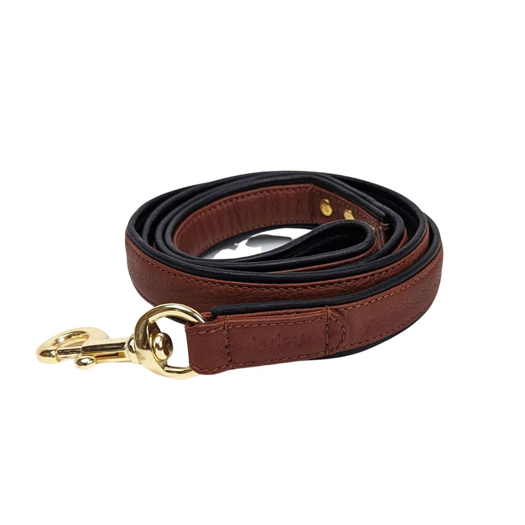 Padded leather leash in black and cognac leather with gold plated brass hardware