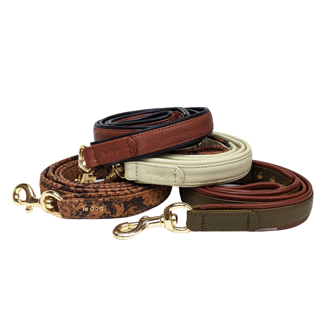 Leash leather best sale