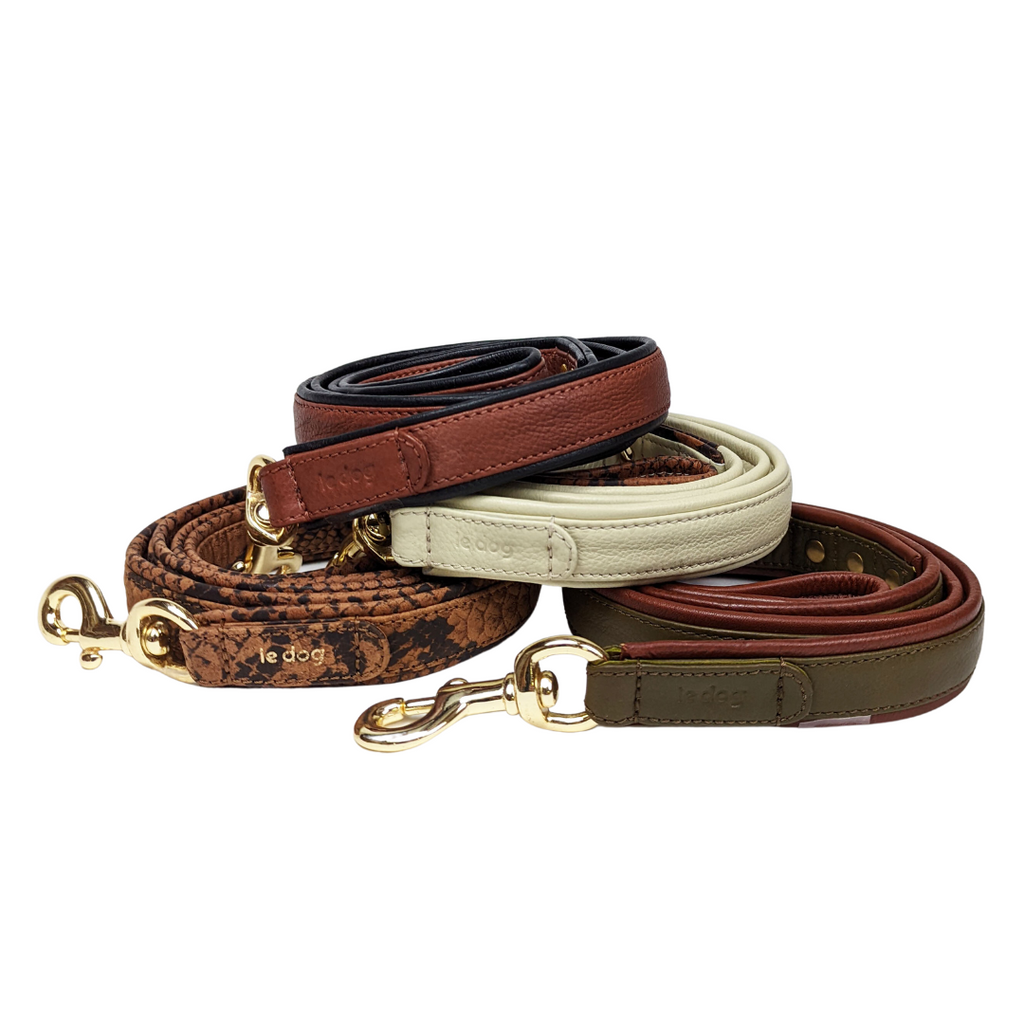 Leather padded dog leashes in four colours with brass hardware