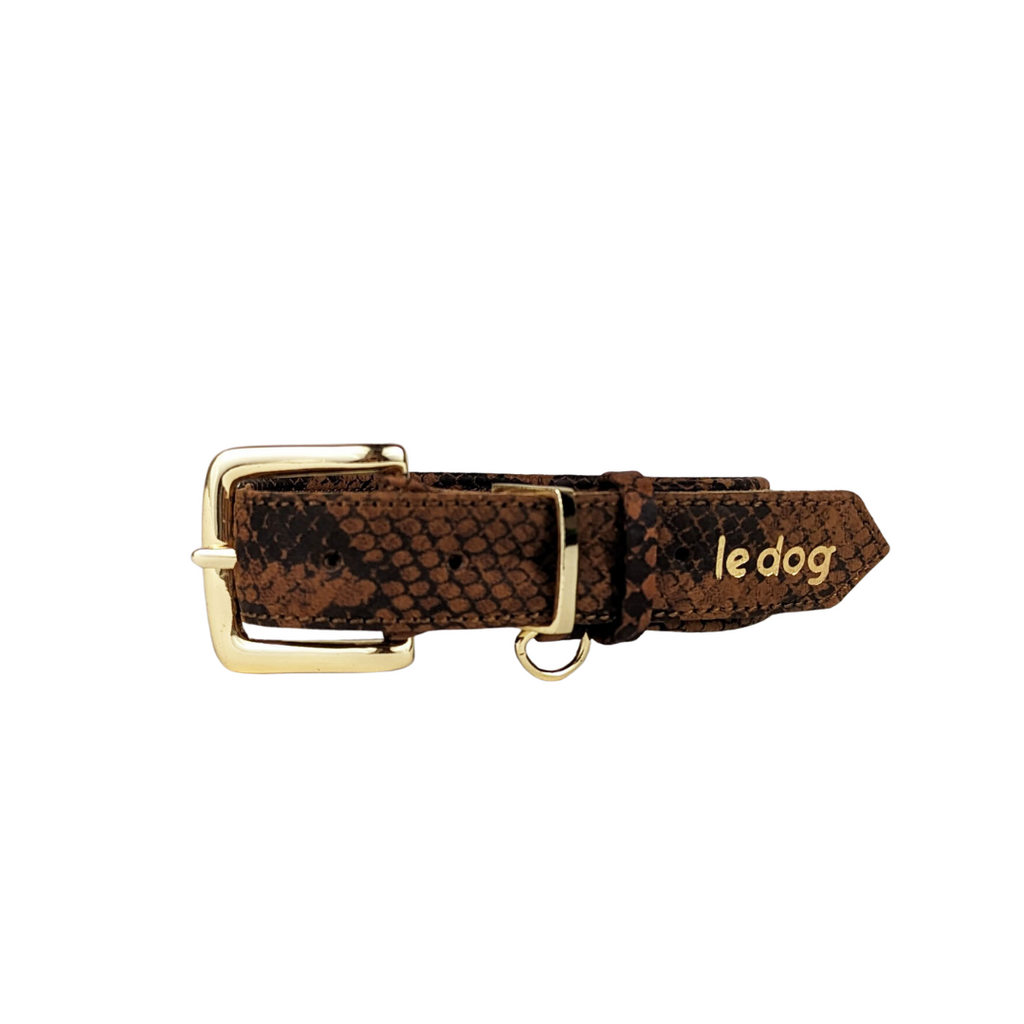 Stylish leather collar in  python print padding and all brass hardware for medium to large breeds