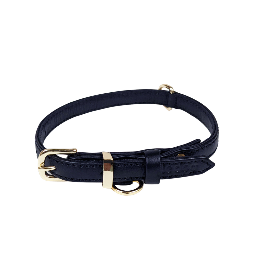 Modern classic leather collar in black with gold plated brass hardware