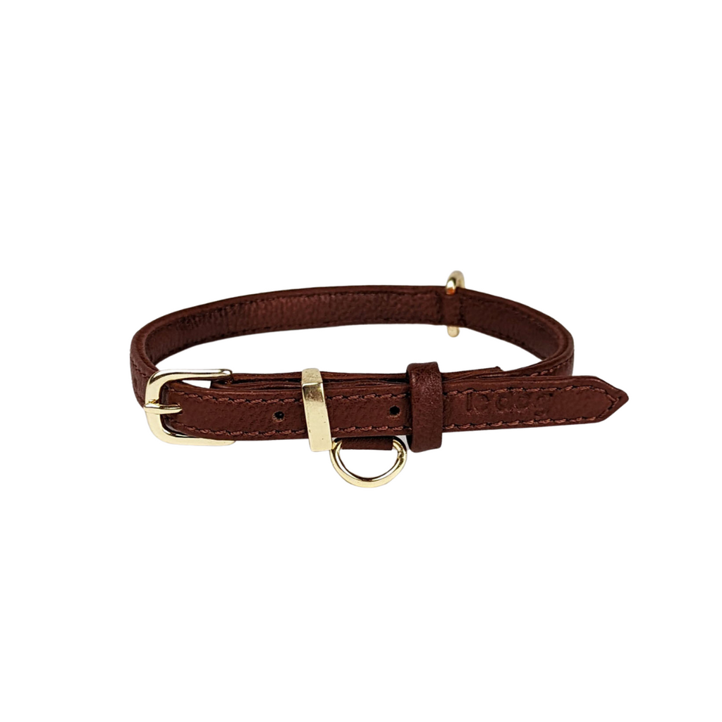 Modern classic leather collar in cognac with gold plated brass hardware