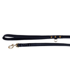 Detail of a black leather leash that is perfect for smaller dogs with gold hardware